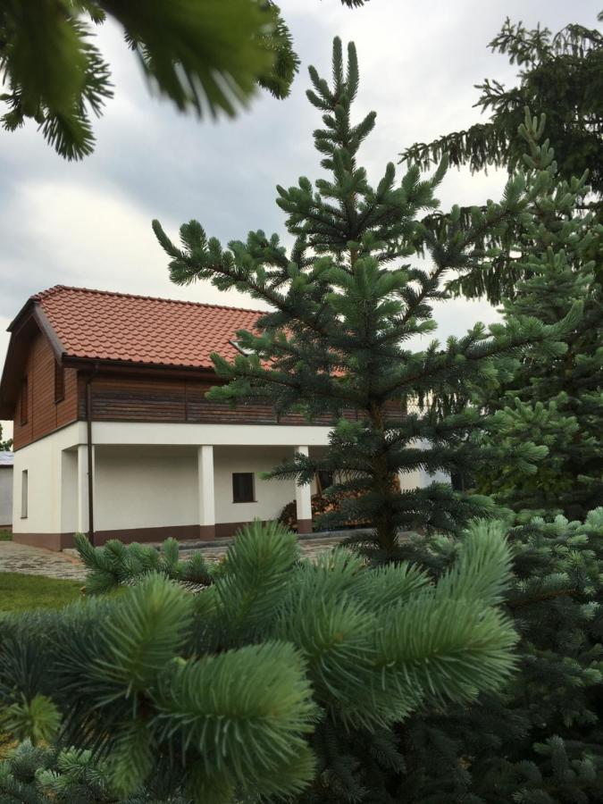 Pokoje Kasztanowa Wilkasy Esterno foto